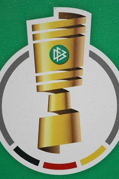 Вольфсбург — Хоффенхайм